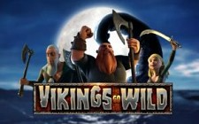 La slot machine Vikings Go Wild